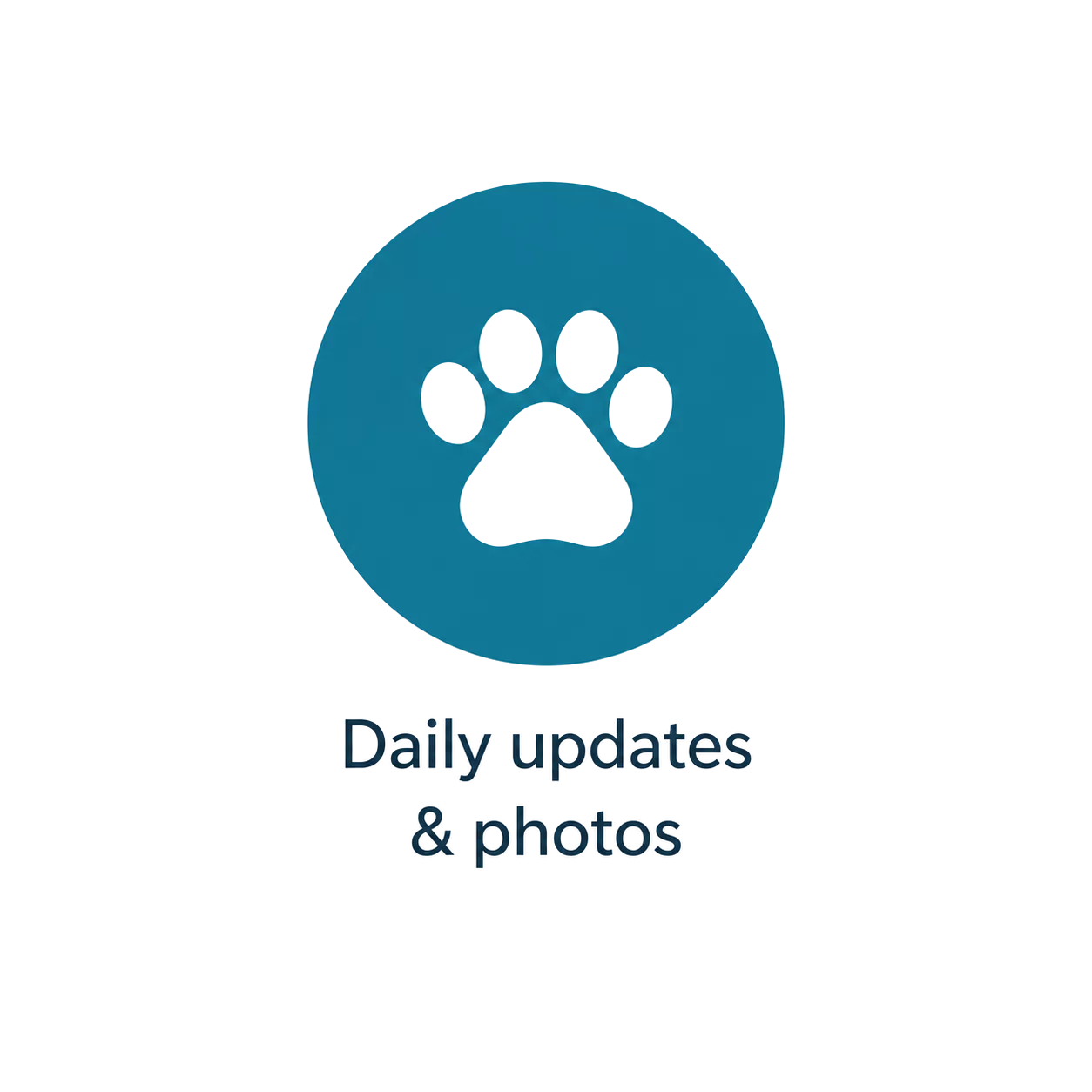 daily-photos-updates-icon-teal