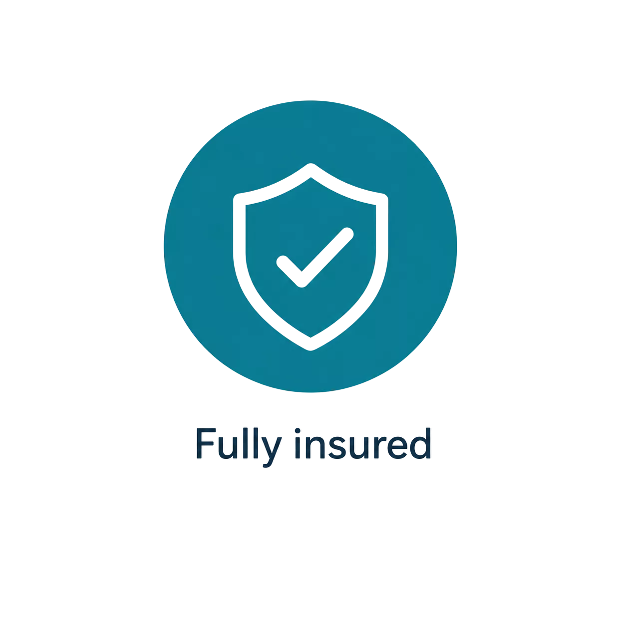 fully-insured-icon-teal