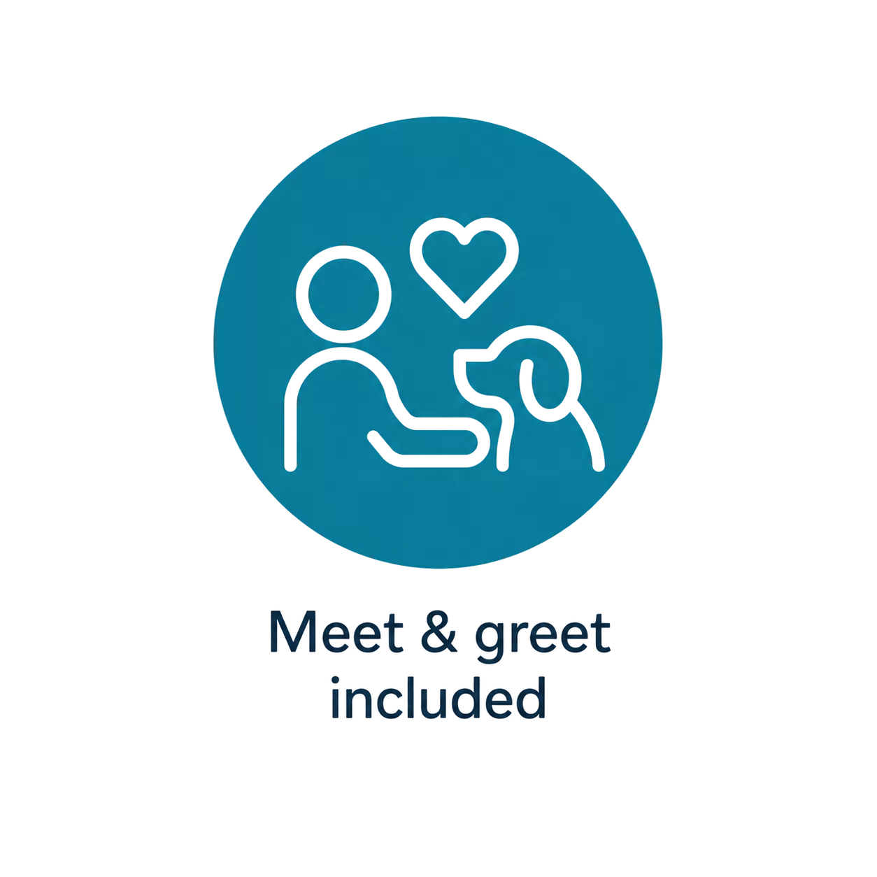 meet-and-greet-included-icon-teal